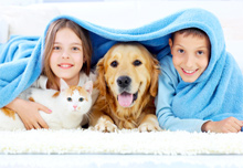 �Sab�as que las mascotas tambi�n sufren de alergias primaverales?