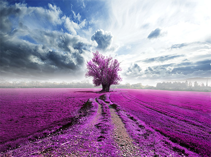 Seis formas de liberar la mente antes de dormir