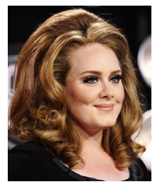 Peinado Bouffant
