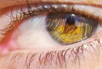 �Es posible ver tu vida diferente? Pon a prueba tus creencias.