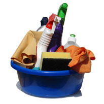 �Qu� son los productos domisanitarios?