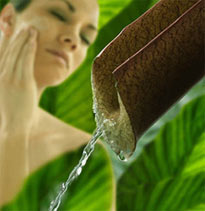 Las pieles grasas también se deshidratan Las pieles grasas también se deshidratan