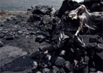 La  moda como medio de comunicaci�n: Vogue Italia presenta su versi�n del derrame de petr�leo