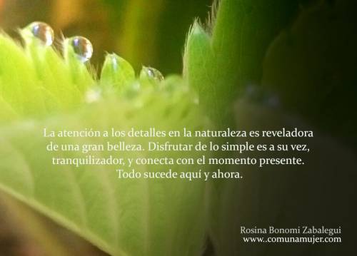 Vivir y conectar con el presente