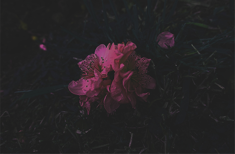 Reuni�n - poes�a