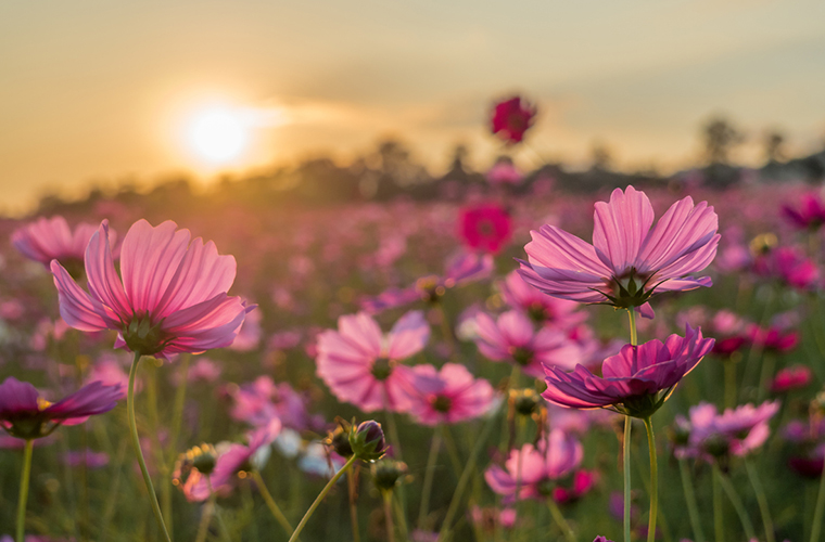 He aprendido a valorar mis peque�as victorias