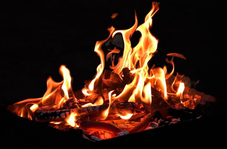 Las mujeres que pude ser