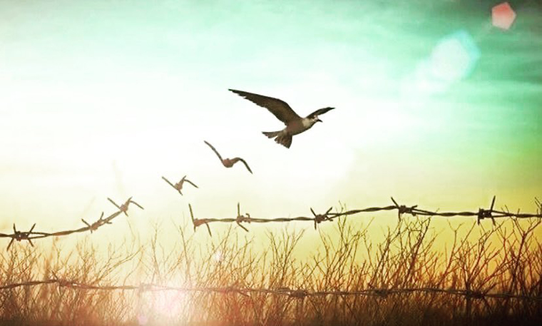 Ser libre no es f�cil...