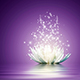 La verdadera perfecci�n, reside en la imperfecci�n