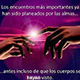 Nada es casualidad