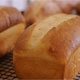 Pan de campo