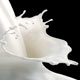 Alimentaci�n saludable: la leche en las dietas