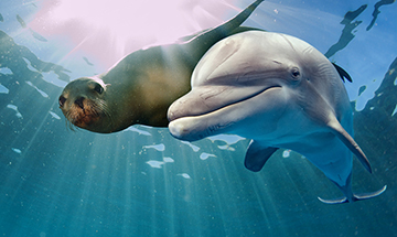 Sucedi� un invierno  (cuento)