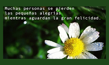 Las peque�as alegr�as