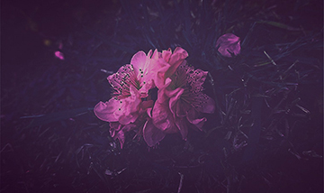 Reuni�n - poes�a