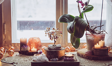 Un oasis de meditaci�n y sabidur�a en tu hogar