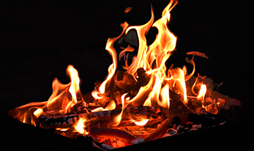 Las mujeres que pude ser