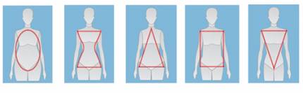 Los cuerpos femeninos se asemejan a una de estas cinco formas b�sicas